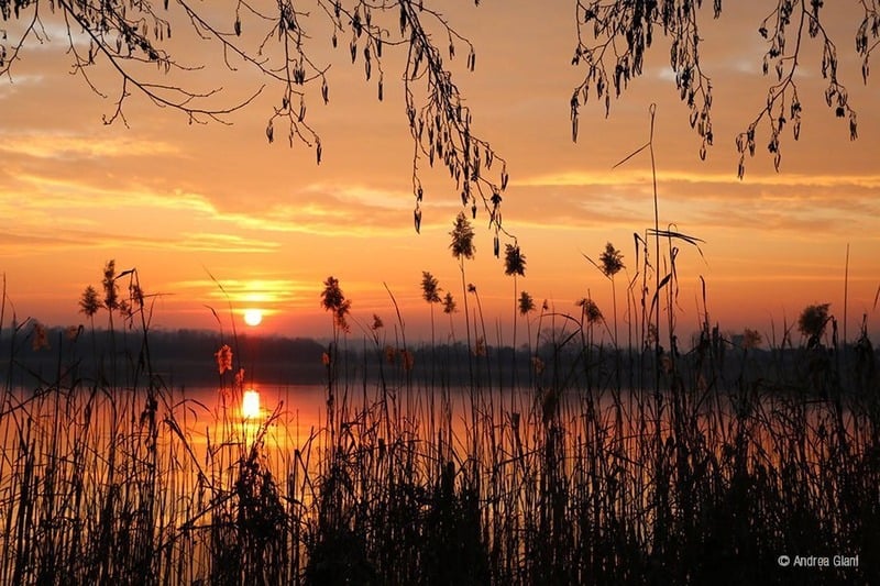 Tramonto sul lago tra i canneti